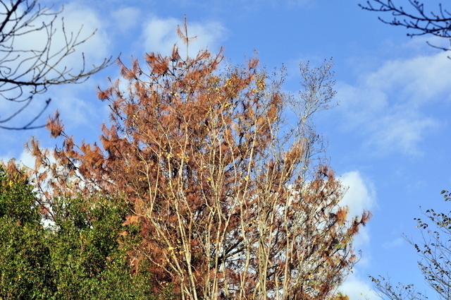 1-_DSC0316.JPG