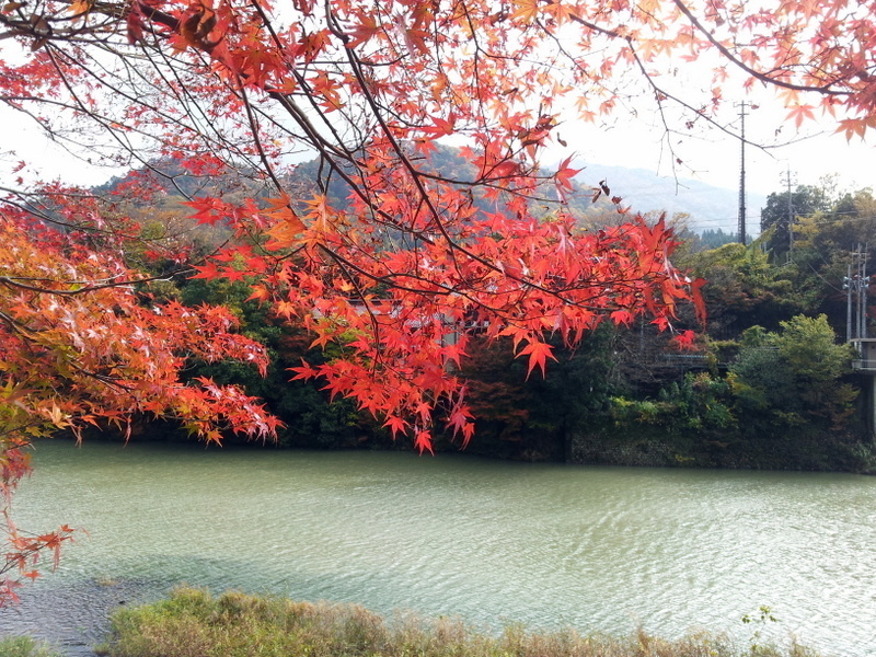 2012-11-18 11.14.40.jpg