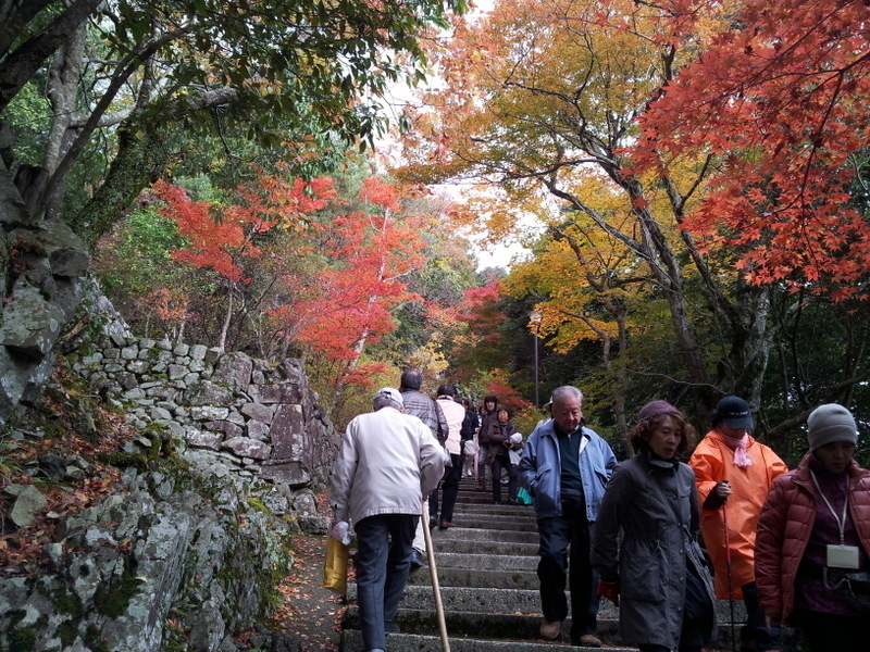 2012-11-18 11.16.13.jpg