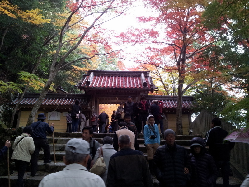 2012-11-18 11.20.41.jpg