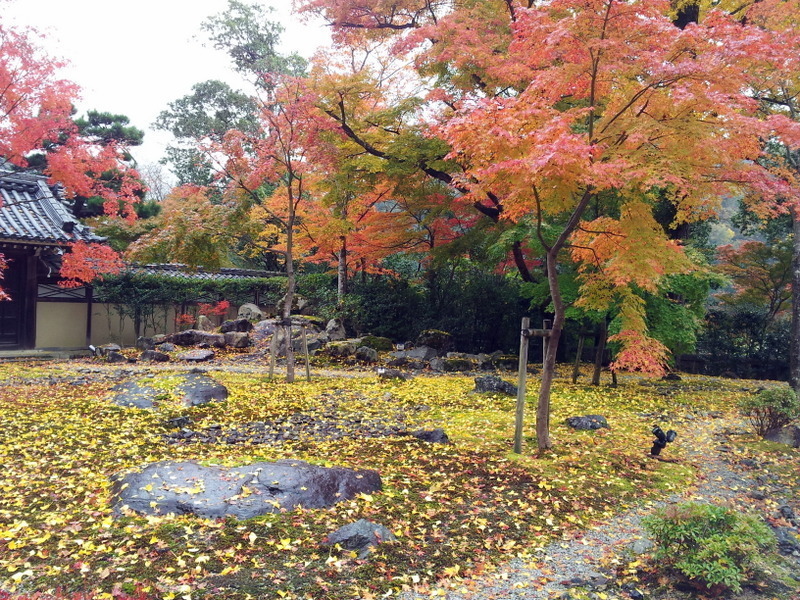2012-11-18 11.27.48.jpg