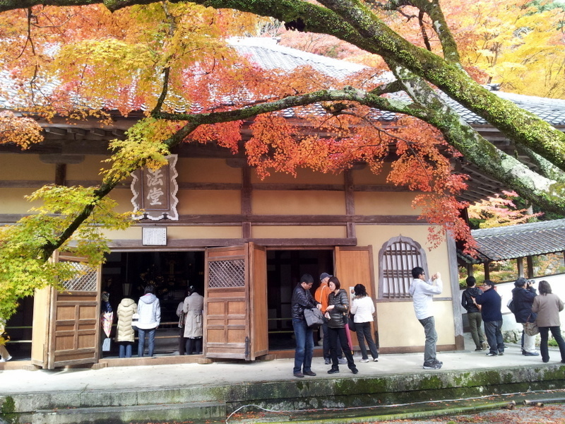 2012-11-18 11.31.25.jpg