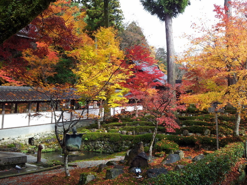 2012-11-18 11.31.36.jpg