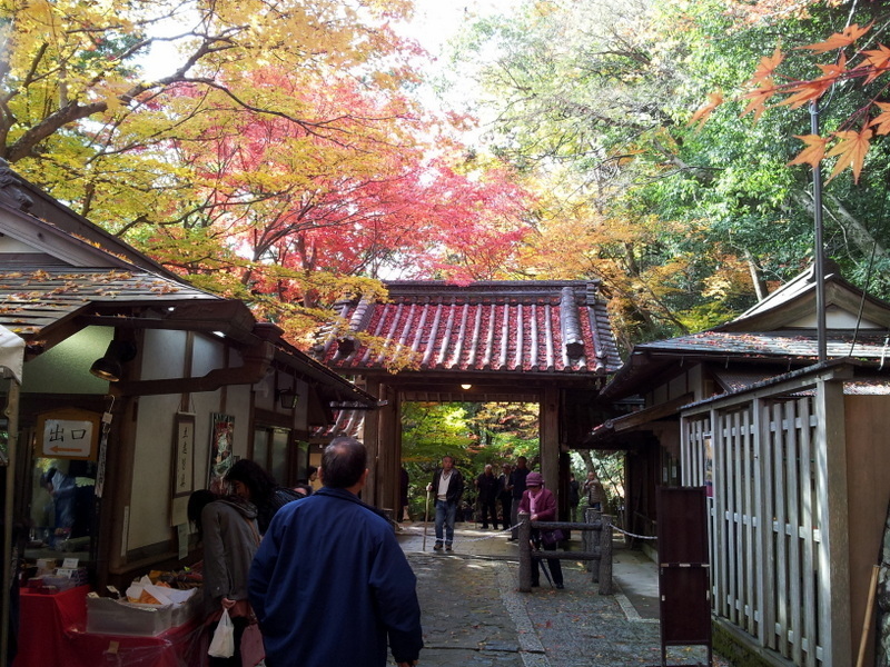 2012-11-18 11.51.46.jpg