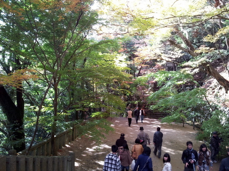 2012-11-18 11.52.29.jpg