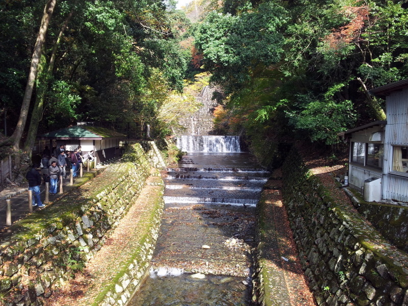 2012-11-18 11.58.14.jpg