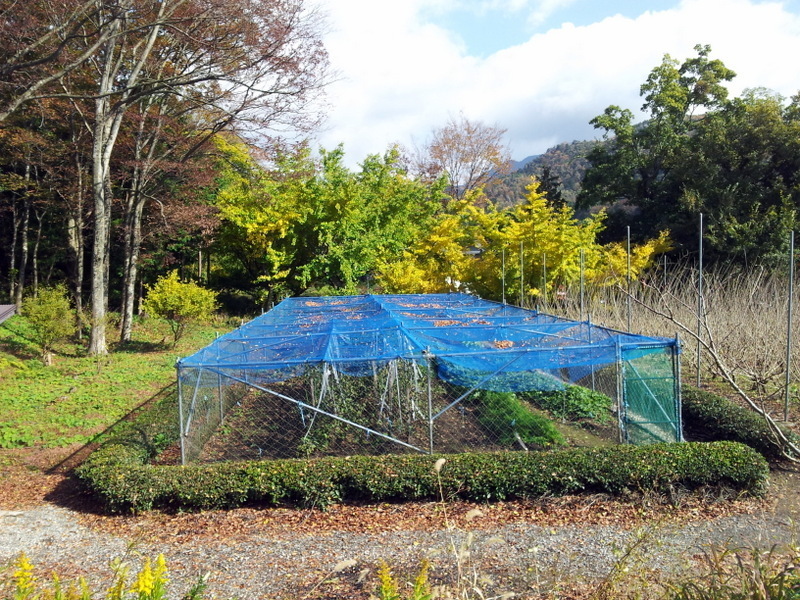 2012-11-18 12.12.15.jpg