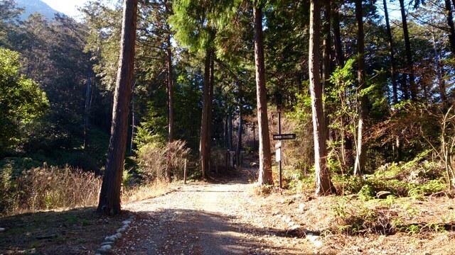 2014-01-15 13.30.38.jpg