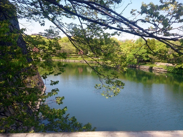 2014-04-24 10.53.38.jpg