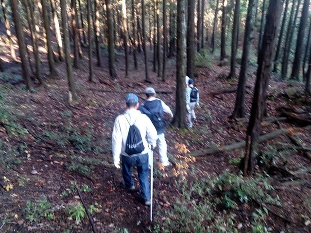 2014-11-30 08.30.00.jpg