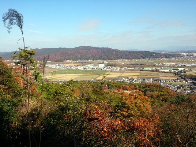 2014-11-30 10.47.08.jpg