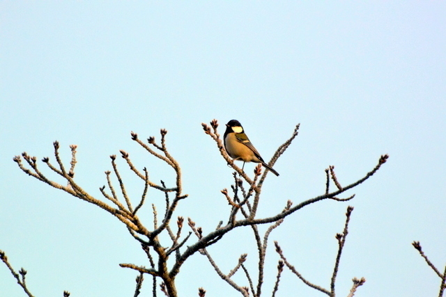 DSC_0016.JPG