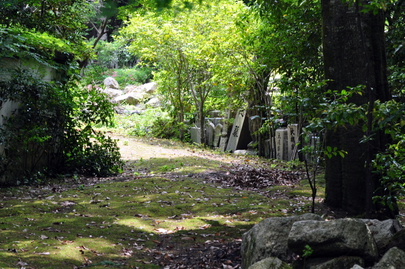 DSC_0308.JPG