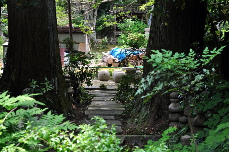 DSC_0313.JPG