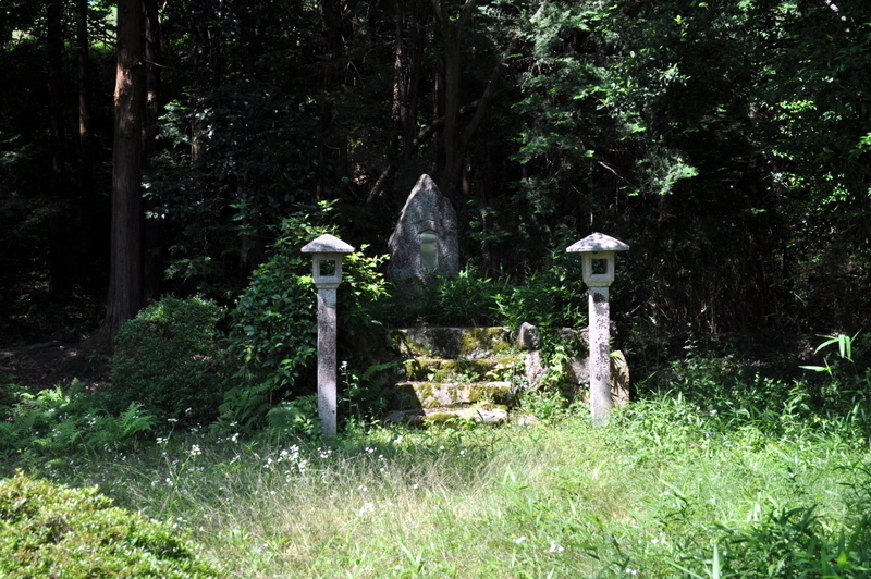 DSC_1262.JPG