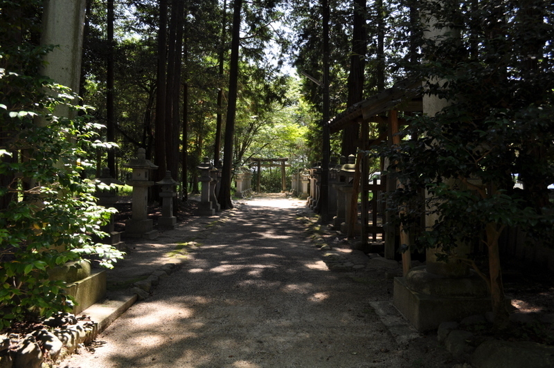 DSC_1385.JPG