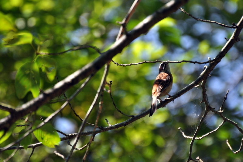 DSC_1408.JPG
