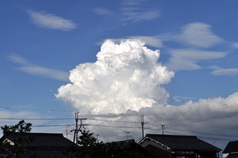 DSC_3229.JPG