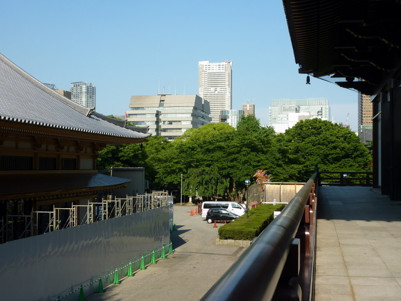 P1000955.JPG