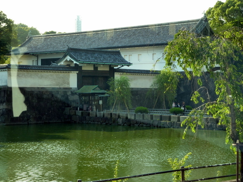 P1000971.JPG