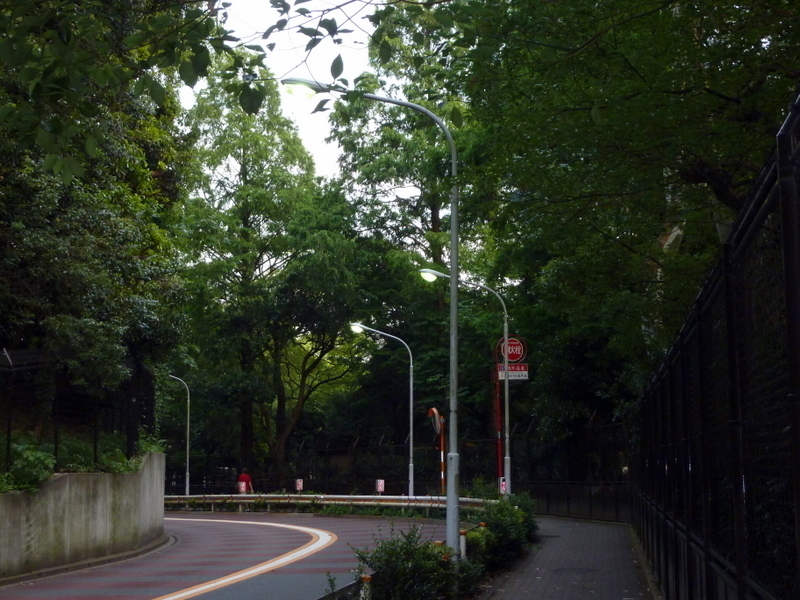 P1000992.JPG