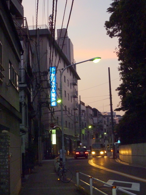 P1010018-1.JPG