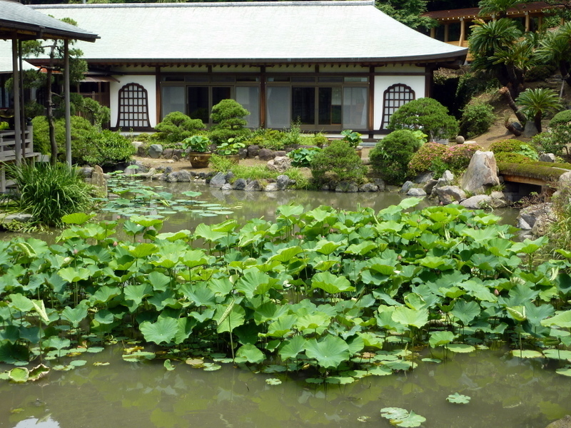 P1010047.JPG